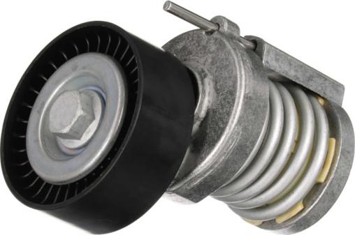 GOOM BT-0032 - Tendicinghia, Cinghia Poly-V www.autoricambi360.it