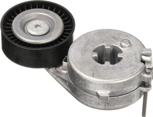 GOOM BT-0076 - Tendicinghia, Cinghia Poly-V www.autoricambi360.it