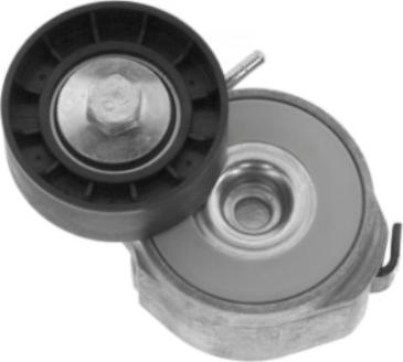 GOOM BT-0070 - Tendicinghia, Cinghia Poly-V www.autoricambi360.it