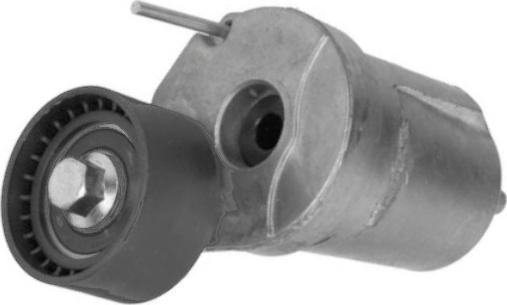 GOOM BT-0071 - Tendicinghia, Cinghia Poly-V www.autoricambi360.it