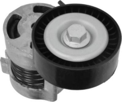 GOOM BT-0078 - Tendicinghia, Cinghia Poly-V www.autoricambi360.it