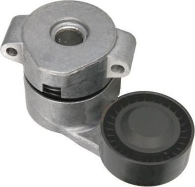 GOOM BT-0073 - Tendicinghia, Cinghia Poly-V www.autoricambi360.it