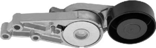 GOOM BT-0077 - Tendicinghia, Cinghia Poly-V www.autoricambi360.it