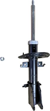 GOOM F210G0425 - Ammortizzatore www.autoricambi360.it