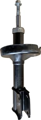 GOOM F210G0671 - Ammortizzatore www.autoricambi360.it