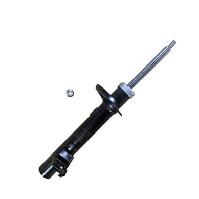GOOM F210G1496 - Ammortizzatore www.autoricambi360.it