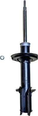 GOOM F210G1466 - Ammortizzatore www.autoricambi360.it