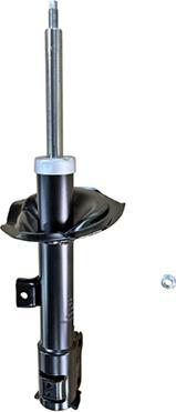 GOOM F210G1544 - Ammortizzatore www.autoricambi360.it