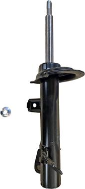 GOOM F210G1605 - Ammortizzatore www.autoricambi360.it
