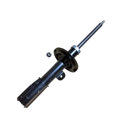 GOOM F210G1158 - Ammortizzatore www.autoricambi360.it