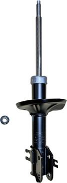 GOOM F210G1168 - Ammortizzatore www.autoricambi360.it