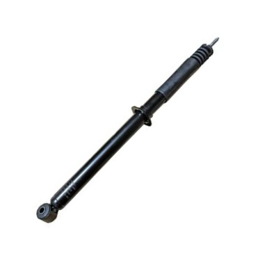 GOOM F220G1381 - Ammortizzatore www.autoricambi360.it