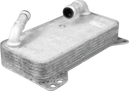 GOOM OC-0031 - Radiatore olio, Olio motore www.autoricambi360.it