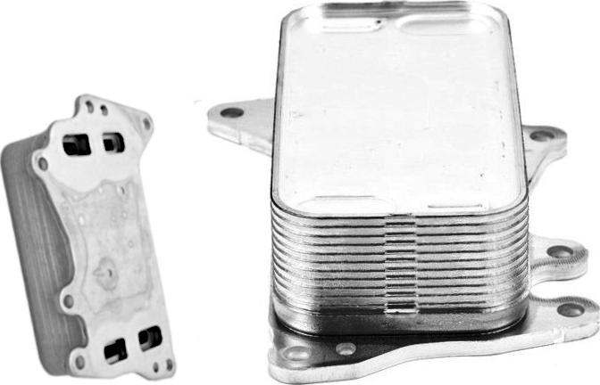 GOOM OC-0180 - Radiatore olio, Olio motore www.autoricambi360.it