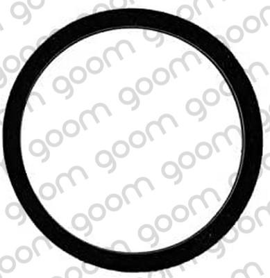 GOOM THG-0001 - Guarnizione, Termostato www.autoricambi360.it