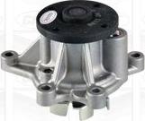 Graf PA1136 - Pompa acqua www.autoricambi360.it