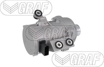 Graf PA1369 - Pompa acqua www.autoricambi360.it
