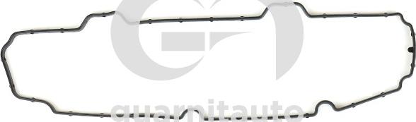 Guarnitauto 113678-8000 - Guarnizione, Copritestata www.autoricambi360.it