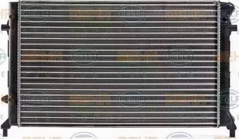HELLA 8MK 376 700-494 - Radiatore, Raffreddamento motore www.autoricambi360.it