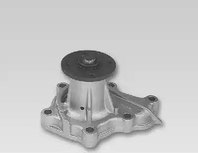 NTY CPW-NS-022 - Pompa acqua www.autoricambi360.it