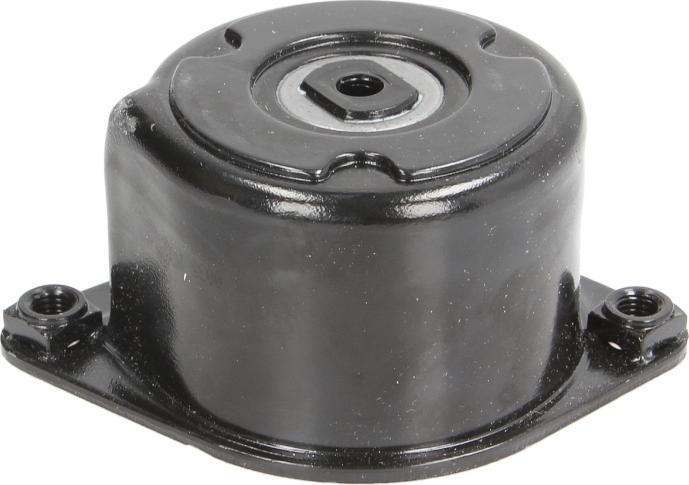 INA 534 0170 10 - Tendicinghia, Cinghia Poly-V www.autoricambi360.it