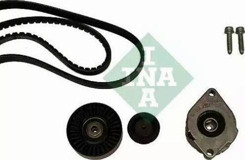 INA 530 0398 10 - Kit Cinghie Poly-V www.autoricambi360.it