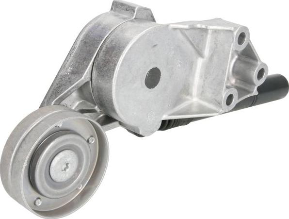 INA 533 0081 30 - Tendicinghia, Cinghia Poly-V www.autoricambi360.it