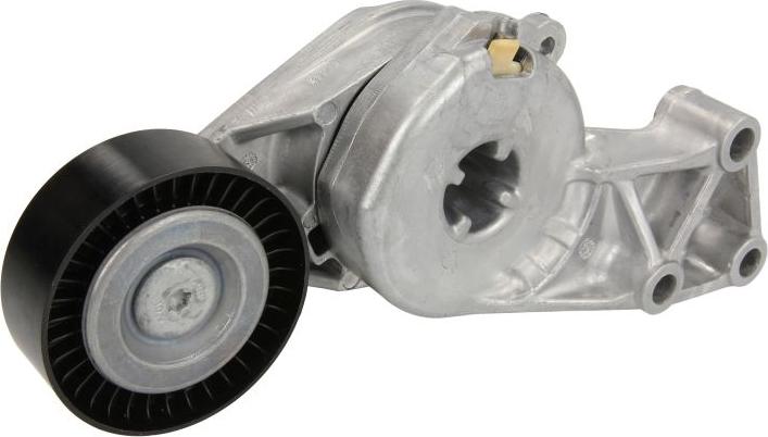 INA 533 0076 30 - Tendicinghia, Cinghia Poly-V www.autoricambi360.it