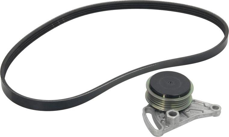 INA 529 0099 10 - Kit Cinghie Poly-V www.autoricambi360.it