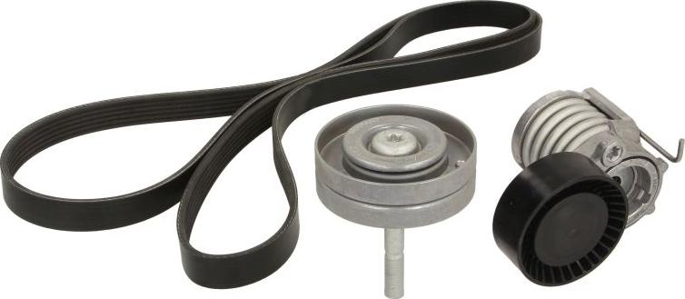 INA 529 0090 10 - Kit Cinghie Poly-V www.autoricambi360.it