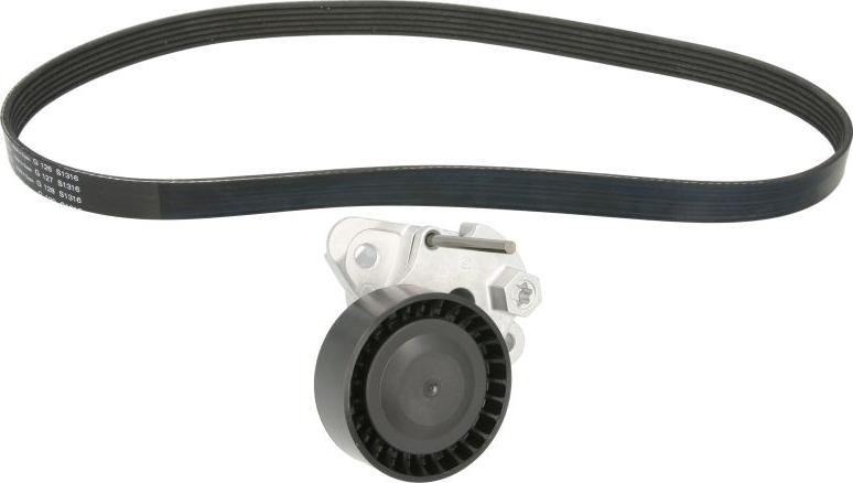 INA 529 0159 10 - Kit Cinghie Poly-V www.autoricambi360.it