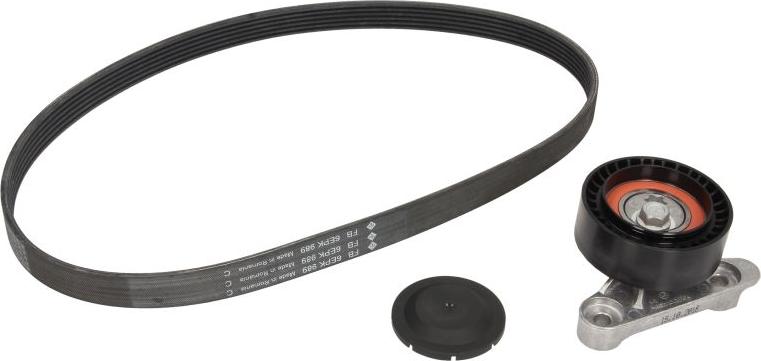 INA 529 0160 10 - Kit Cinghie Poly-V www.autoricambi360.it