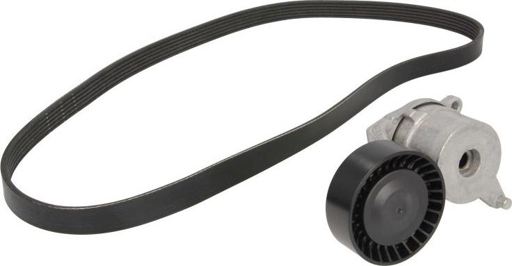 INA 529 0262 10 - Kit Cinghie Poly-V www.autoricambi360.it