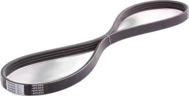 Japko 4PK855 - Cinghia Poly-V www.autoricambi360.it