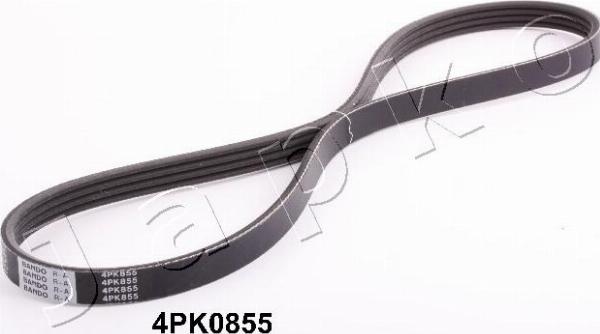Japko 4PK855 - Cinghia Poly-V www.autoricambi360.it