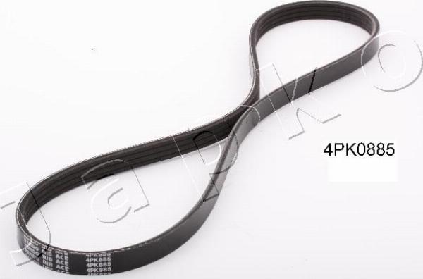 Japko 4PK885 - Cinghia Poly-V www.autoricambi360.it