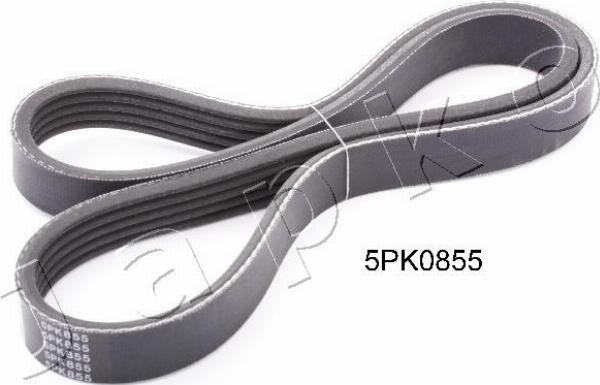 Japko 5PK855 - Cinghia Poly-V www.autoricambi360.it