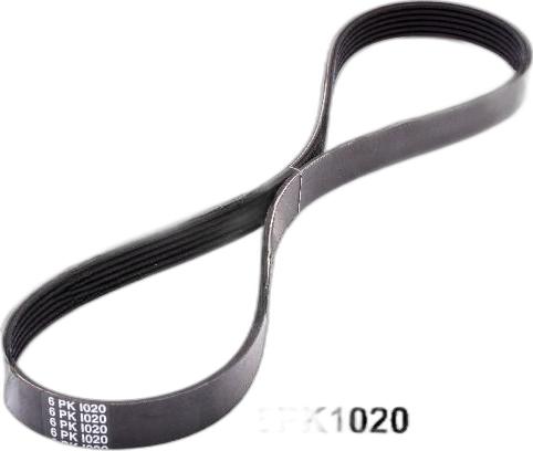 Japko 6PK1020 - Cinghia Poly-V www.autoricambi360.it