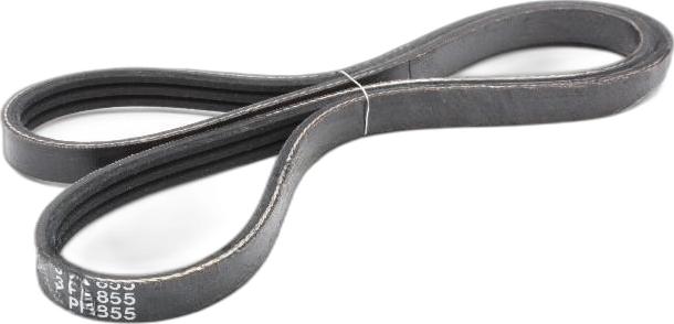 Japko 3PK855 - Cinghia Poly-V www.autoricambi360.it