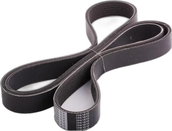 Japko 7PK1810 - Cinghia Poly-V www.autoricambi360.it