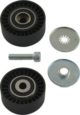 Kavo Parts DIP-1005 - Galoppino / Guidacinghia, Cinghia Poly-V www.autoricambi360.it
