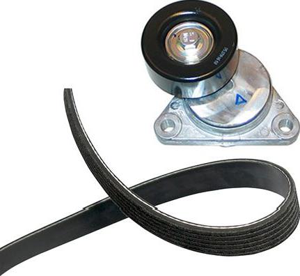 Kavo Parts DKM-1004 - Kit cinghie trapezoidali www.autoricambi360.it