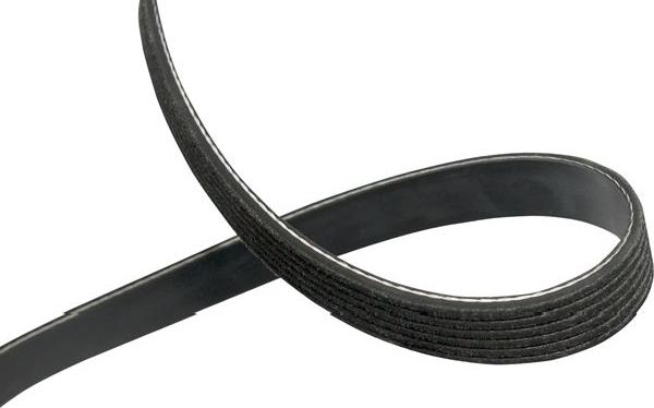 Kavo Parts DMV-4550 - Cinghia Poly-V www.autoricambi360.it