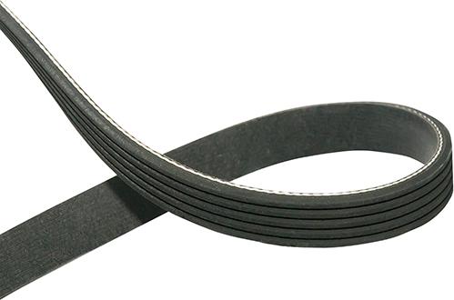 Kavo Parts DMV-4576 - Cinghia Poly-V www.autoricambi360.it