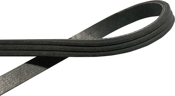 Kavo Parts DMV-4571 - Cinghia Poly-V www.autoricambi360.it