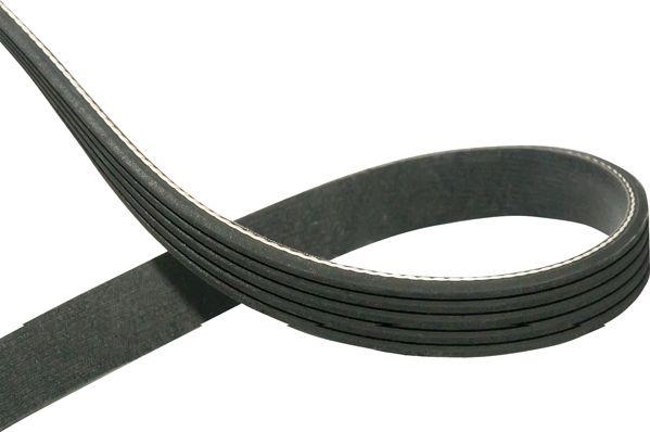 Kavo Parts DMV-5540 - Cinghia Poly-V www.autoricambi360.it