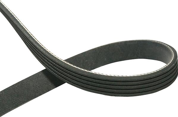 Kavo Parts DMV-5551 - Cinghia Poly-V www.autoricambi360.it
