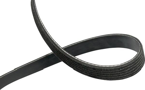 Kavo Parts DMV-9106 - Cinghia Poly-V www.autoricambi360.it