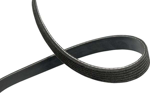 Kavo Parts DMV-1044 - Cinghia Poly-V www.autoricambi360.it