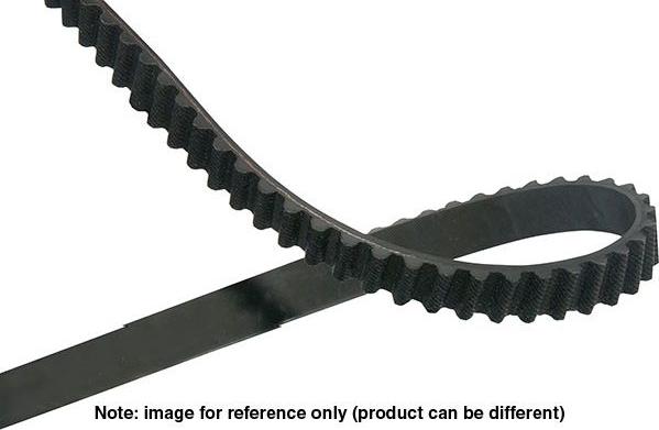 Kavo Parts DTB-1004 - Cinghia dentata www.autoricambi360.it